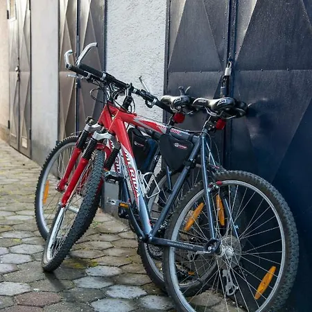 Lori Apartman *
